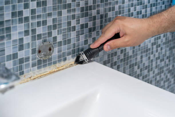 Best Insurance-Related Mold Remediation in White Knoll, SC